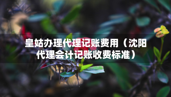 皇姑辦理代理記賬費(fèi)用（沈陽(yáng)代理會(huì)計(jì)記賬收費(fèi)標(biāo)準(zhǔn)）