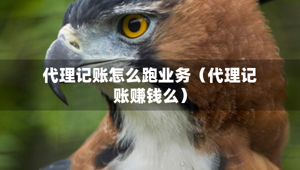 代理記賬怎么跑業(yè)務(wù)（代理記賬賺錢么）