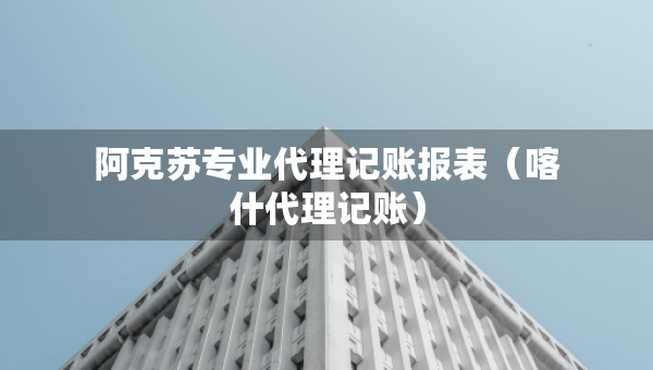 阿克蘇專業(yè)代理記賬報表（喀什代理記賬）