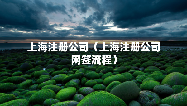 上海注冊(cè)公司（上海注冊(cè)公司網(wǎng)簽流程）