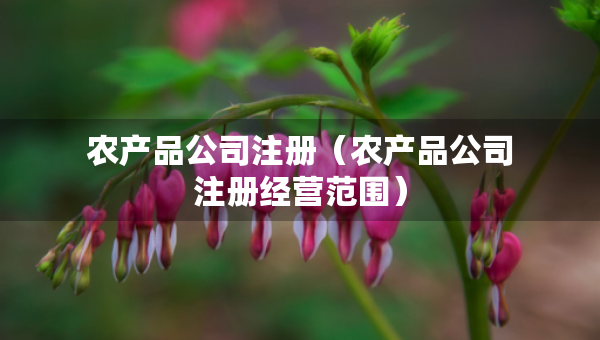 農(nóng)產(chǎn)品公司注冊(cè)（農(nóng)產(chǎn)品公司注冊(cè)經(jīng)營范圍）