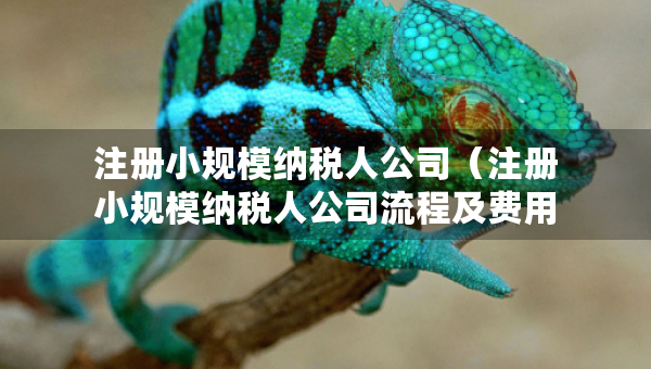注冊小規(guī)模納稅人公司（注冊小規(guī)模納稅人公司流程及費用）
