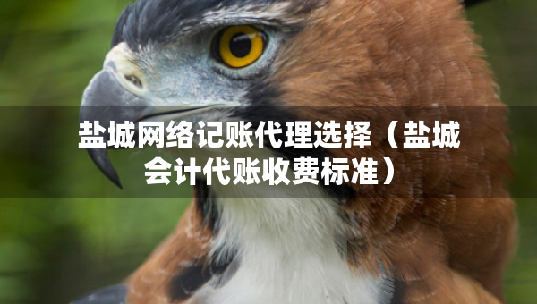 鹽城網(wǎng)絡(luò)記賬代理選擇（鹽城會(huì)計(jì)代賬收費(fèi)標(biāo)準(zhǔn)）