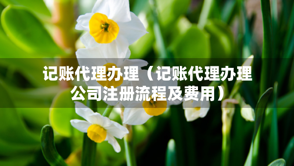 記賬代理辦理（記賬代理辦理公司注冊流程及費用）