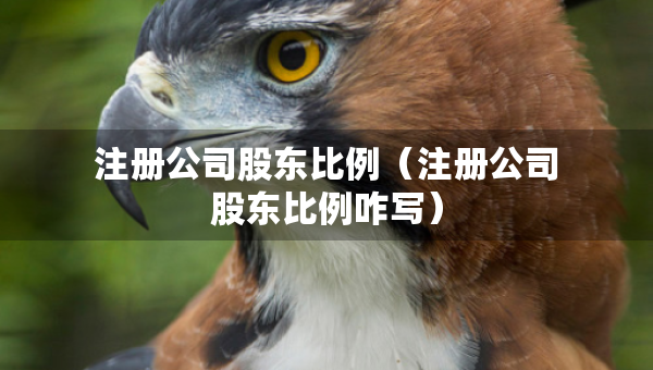 注冊(cè)公司股東比例（注冊(cè)公司股東比例咋寫）