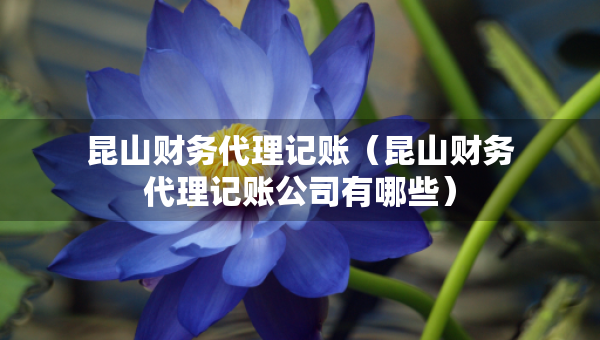 昆山財(cái)務(wù)代理記賬（昆山財(cái)務(wù)代理記賬公司有哪些）