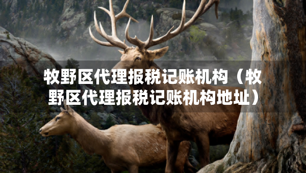 牧野區(qū)代理報(bào)稅記賬機(jī)構(gòu)（牧野區(qū)代理報(bào)稅記賬機(jī)構(gòu)地址）