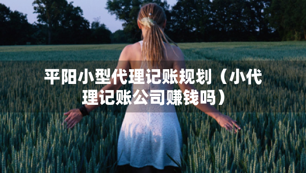 平陽(yáng)小型代理記賬規(guī)劃（小代理記賬公司賺錢(qián)嗎）