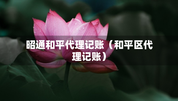 昭通和平代理記賬（和平區(qū)代理記賬）