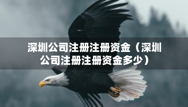 深圳公司注冊注冊資金（深圳公司注冊注冊資金多少）