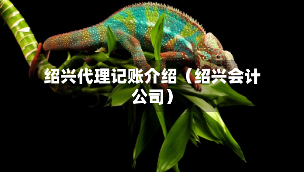 紹興代理記賬介紹（紹興會(huì)計(jì)公司）
