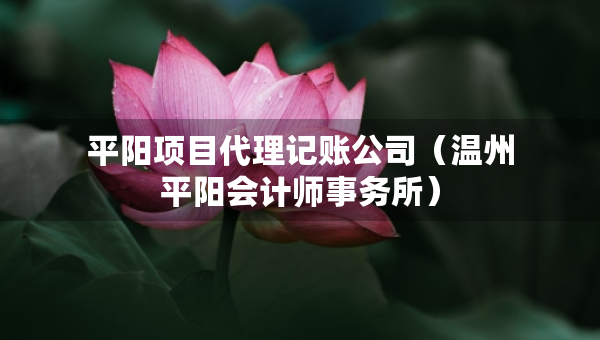 平陽項目代理記賬公司（溫州平陽會計師事務(wù)所）