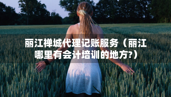 麗江禪城代理記賬服務(wù)（麗江哪里有會計培訓(xùn)的地方?）