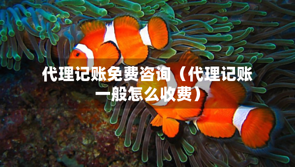 代理記賬免費咨詢（代理記賬一般怎么收費）