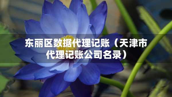 東麗區(qū)數(shù)據(jù)代理記賬（天津市代理記賬公司名錄）