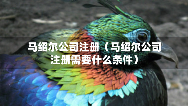 馬紹爾公司注冊（馬紹爾公司注冊需要什么條件）