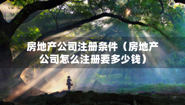 房地產(chǎn)公司注冊條件（房地產(chǎn)公司怎么注冊要多少錢）