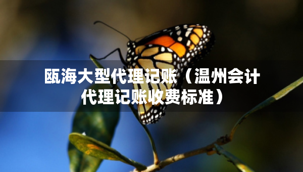 甌海大型代理記賬（溫州會計代理記賬收費標準）