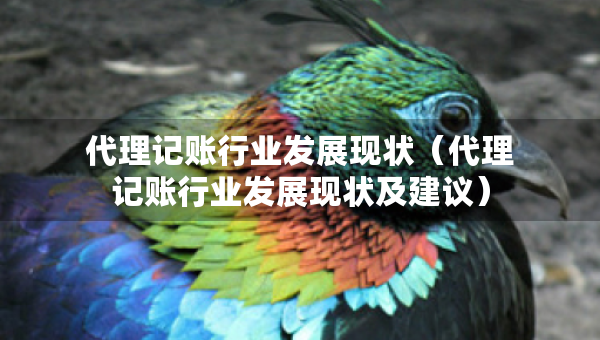 代理記賬行業(yè)發(fā)展現(xiàn)狀（代理記賬行業(yè)發(fā)展現(xiàn)狀及建議）