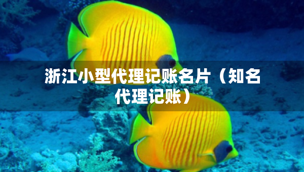 浙江小型代理記賬名片（知名代理記賬）