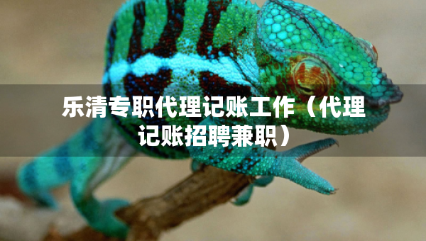 樂(lè)清專職代理記賬工作（代理記賬招聘兼職）