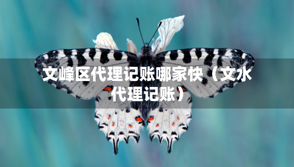 文峰區(qū)代理記賬哪家快（文水代理記賬）
