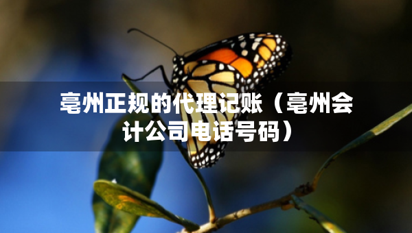 亳州正規(guī)的代理記賬（亳州會計公司電話號碼）