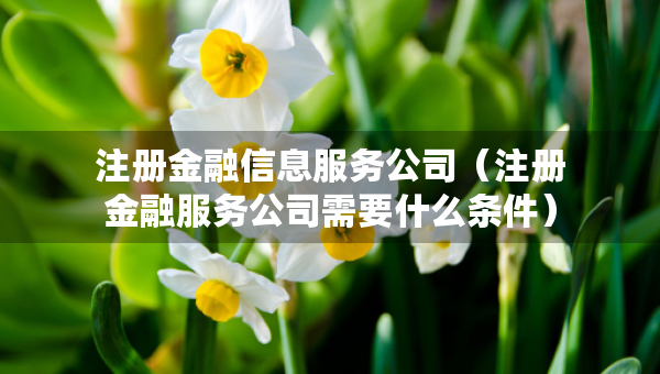 注冊金融信息服務公司（注冊金融服務公司需要什么條件）