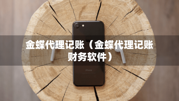 金蝶代理記賬（金蝶代理記賬財務軟件）