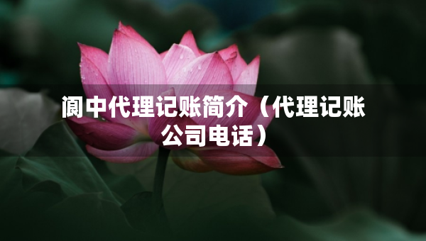 閬中代理記賬簡介（代理記賬公司電話）