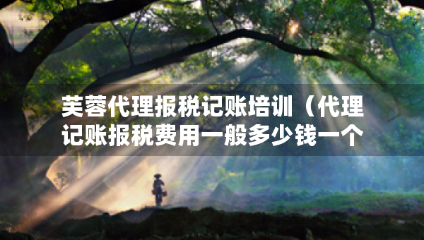 芙蓉代理報(bào)稅記賬培訓(xùn)（代理記賬報(bào)稅費(fèi)用一般多少錢一個(gè)月）