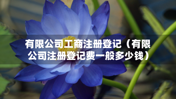 有限公司工商注冊(cè)登記（有限公司注冊(cè)登記費(fèi)一般多少錢）