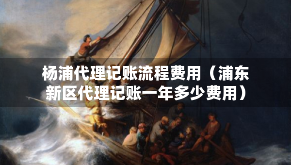 楊浦代理記賬流程費用（浦東新區(qū)代理記賬一年多少費用）