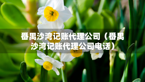 番禺沙灣記賬代理公司（番禺沙灣記賬代理公司電話）