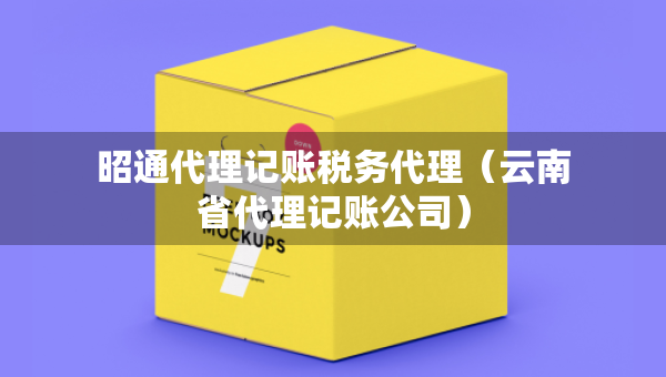 昭通代理記賬稅務(wù)代理（云南省代理記賬公司）