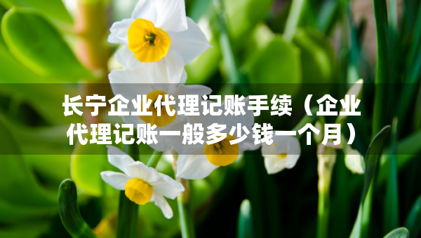 長寧企業(yè)代理記賬手續(xù)（企業(yè)代理記賬一般多少錢一個(gè)月）