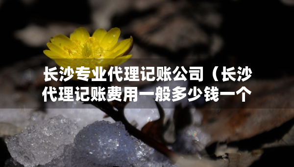 長沙專業(yè)代理記賬公司（長沙代理記賬費用一般多少錢一個月）