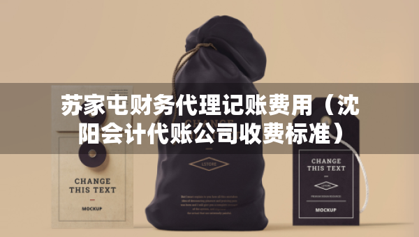 蘇家屯財(cái)務(wù)代理記賬費(fèi)用（沈陽會計(jì)代賬公司收費(fèi)標(biāo)準(zhǔn)）