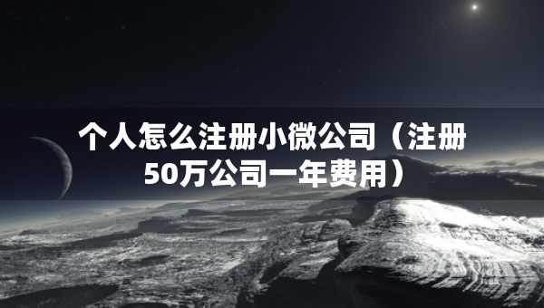 個(gè)人怎么注冊小微公司（注冊50萬公司一年費(fèi)用）