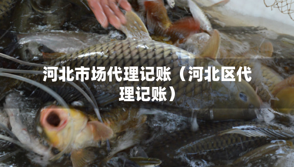 河北市場代理記賬（河北區(qū)代理記賬）