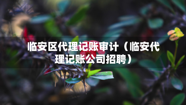 臨安區(qū)代理記賬審計（臨安代理記賬公司招聘）