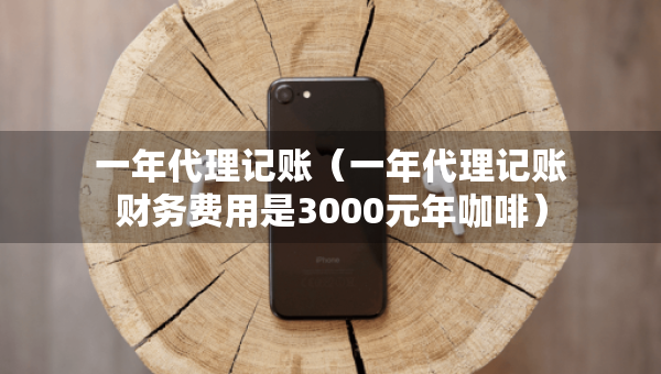一年代理記賬（一年代理記賬財(cái)務(wù)費(fèi)用是3000元年咖啡）