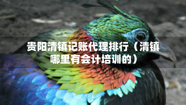 貴陽(yáng)清鎮(zhèn)記賬代理排行（清鎮(zhèn)哪里有會(huì)計(jì)培訓(xùn)的）