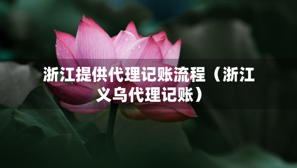 浙江提供代理記賬流程（浙江義烏代理記賬）