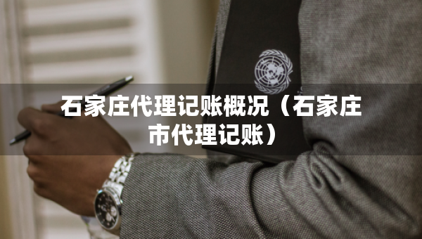 石家莊代理記賬概況（石家莊市代理記賬）
