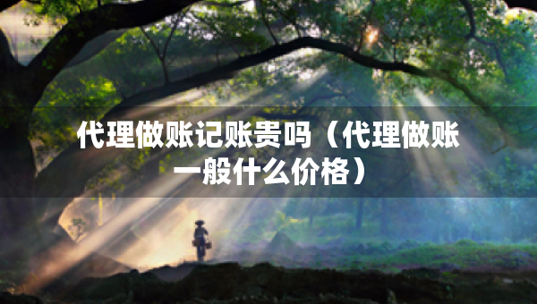 代理做賬記賬貴嗎（代理做賬一般什么價(jià)格）