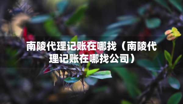 南陵代理記賬在哪找（南陵代理記賬在哪找公司）
