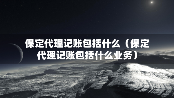 保定代理記賬包括什么（保定代理記賬包括什么業(yè)務）