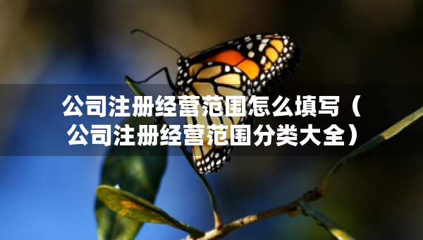 公司注冊經(jīng)營范圍怎么填寫（公司注冊經(jīng)營范圍分類大全）
