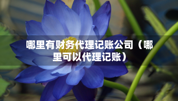 哪里有財務(wù)代理記賬公司（哪里可以代理記賬）